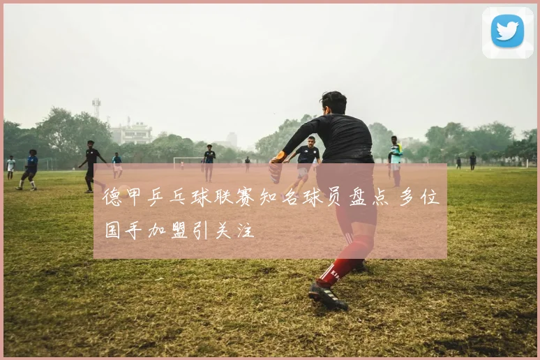 德甲乒乓球联赛知名球员盘点 多位国手加盟引关注