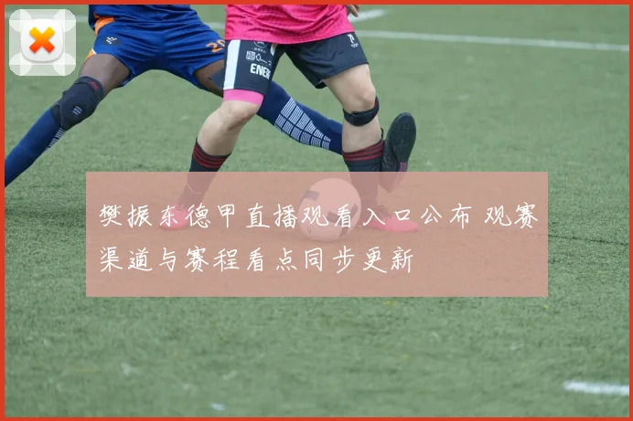 樊振东德甲直播观看入口公布 观赛渠道与赛程看点同步更新