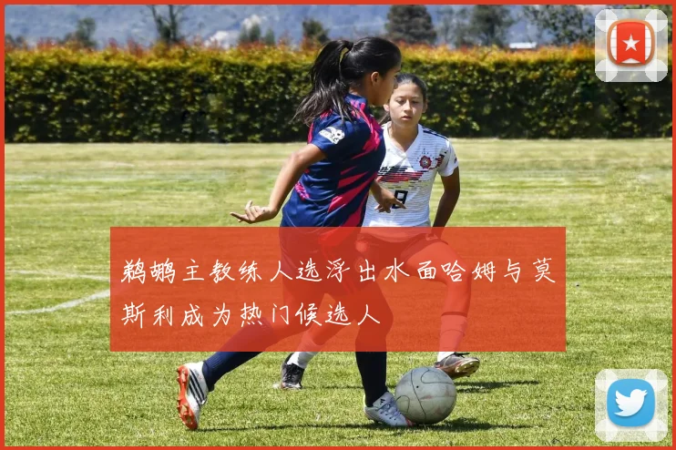 鹈鹕主教练人选浮出水面哈姆与莫斯利成为热门候选人