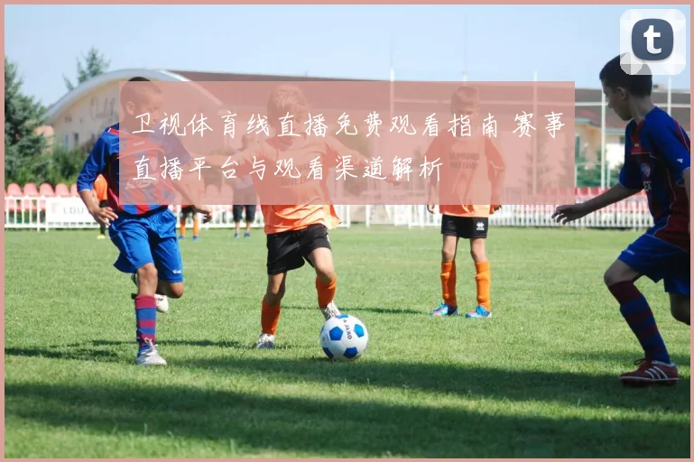 卫视体育线直播免费观看指南 赛事直播平台与观看渠道解析