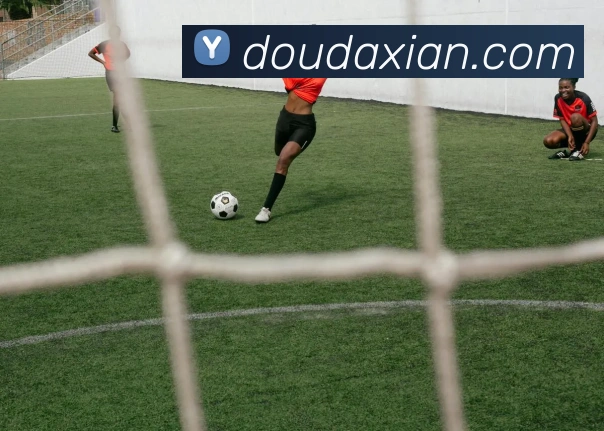 九游体育app官网下载平台平台生态图